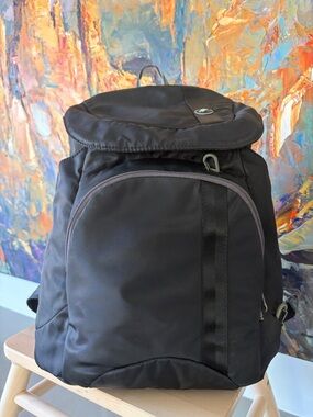 PACSAFE Anti-theft Travel Gear Black Backpack (Unisex)